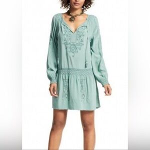 Calypso St. Barth Light Sage Pure 100% Silk Long Sleeve Embroidered Dress